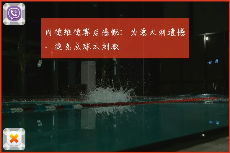 内德维德赛后感慨：为意大利遗憾，捷克点球太刺激